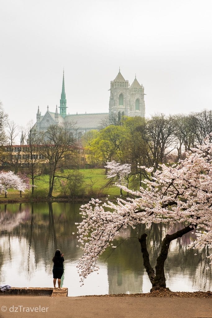 The Cathedral Basilica of the Sacred Heart in Newark, NJ