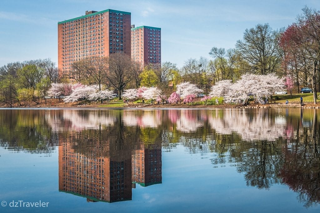 A beautiful lake in the northern park of the park!