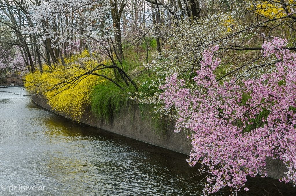 The brook that flows through this park heading towards Passaic River.