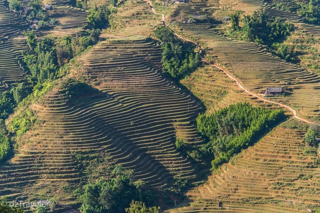 Rice Terrace in Sapa, Vietname