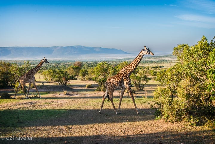 Masai Mara