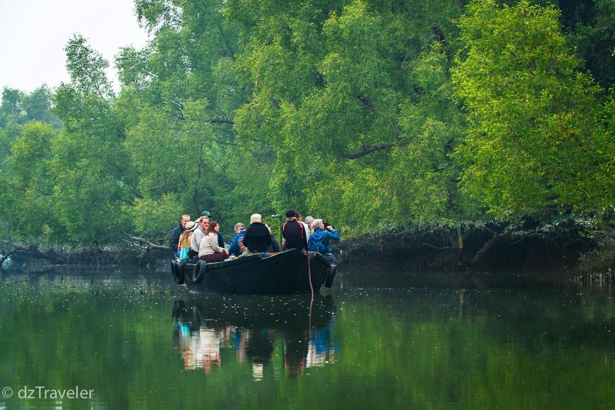 sundarban