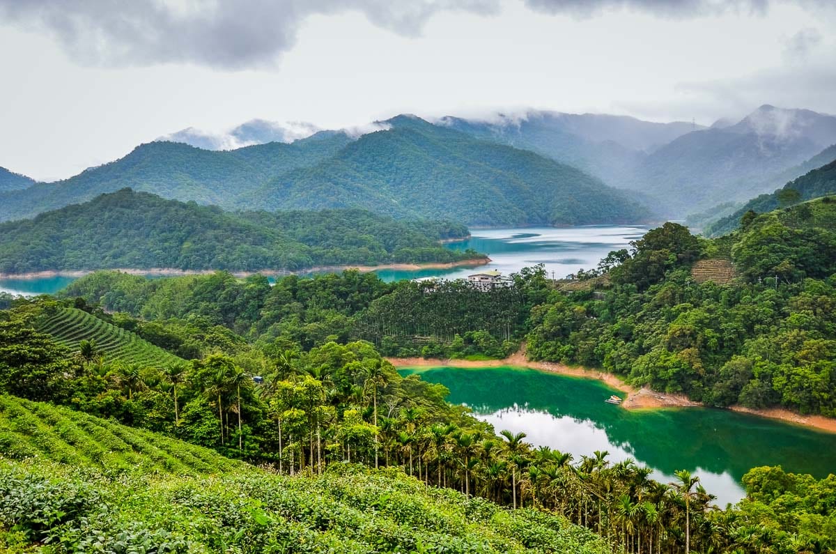 Pinglin Tea Plantation in Taiwan.