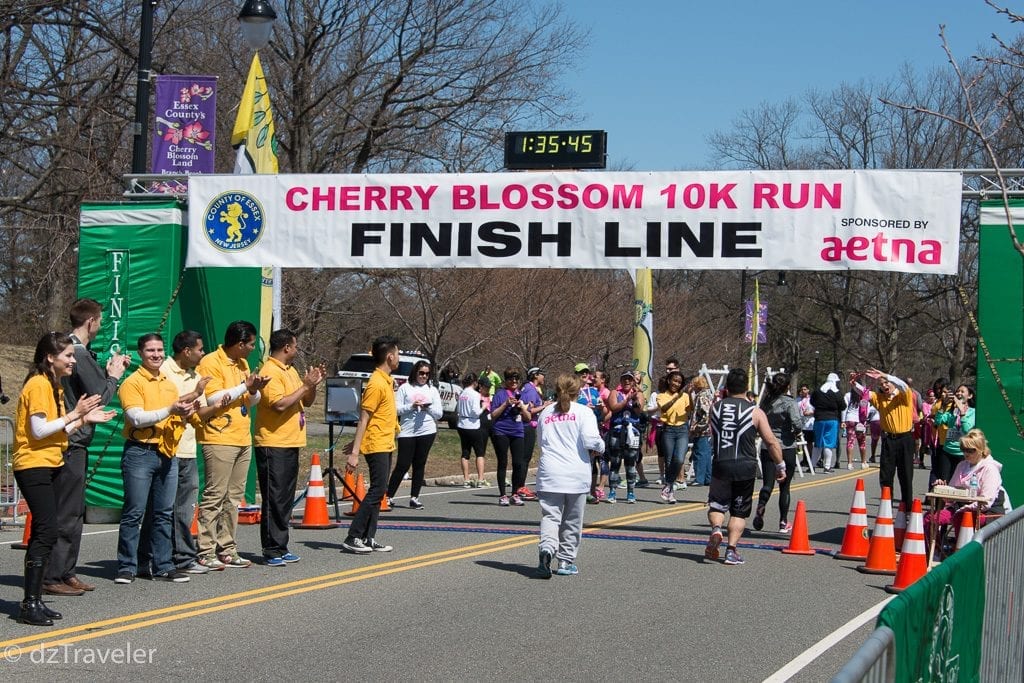 Cherry Blossom 10K Run